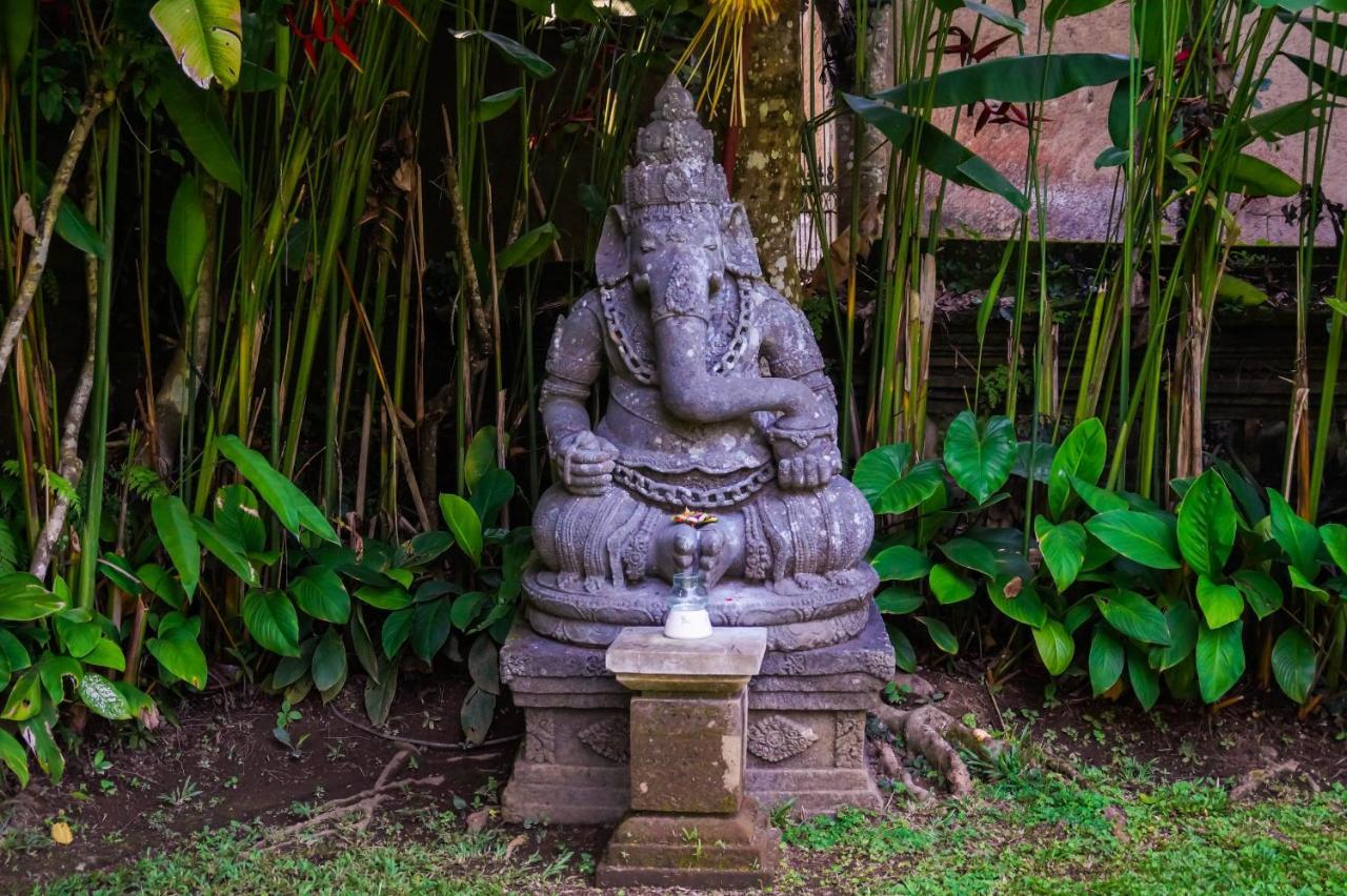The Allure Ubud Villas Exteriér fotografie